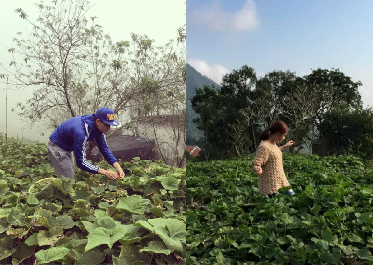 Những bằng chứng tình cảm của Hoàng Thùy Linh và Vĩnh Thụy