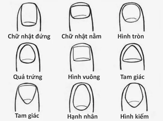 Đọc vị tính cách qua hình dạng móng tay