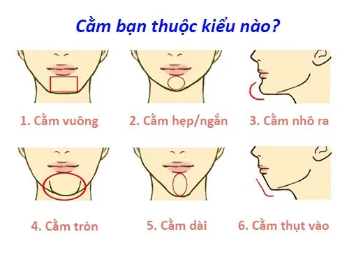 Tướng cằm nói gì về tính cách chủ nhân?