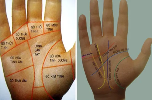 Nếu có dấu hiệu này trong lòng bàn tay, bạn chắc chắn sẽ giàu có