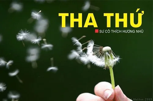 Nhất định phải tha thứ cho 6 người này để thanh thản cả đời