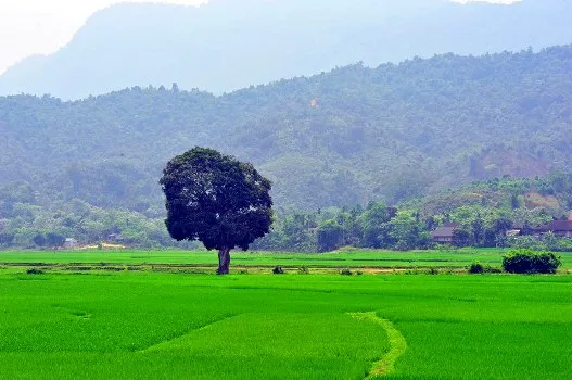 Bất ngờ trước vẻ đẹp 