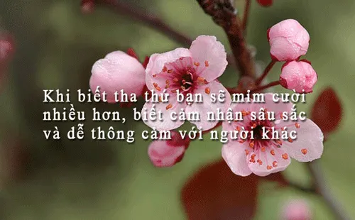 4 người nên tha thứ nhất trong cuộc đời