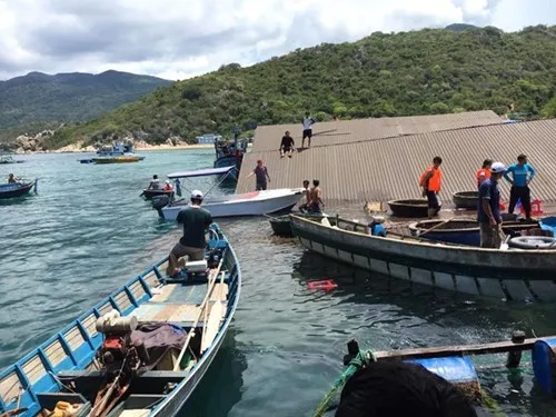 Nhân chứng nhìn thấy tàu đáy kính đâm vào nhà hàng nổi Ninh Thuận