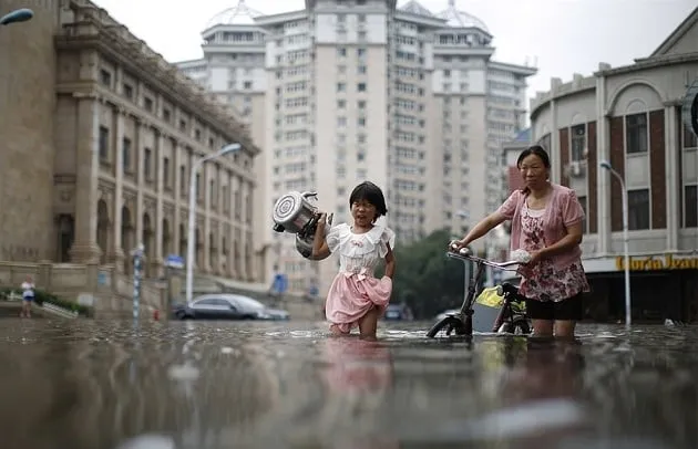 Xúc động: người phụ nữ khóc bên xác lợn