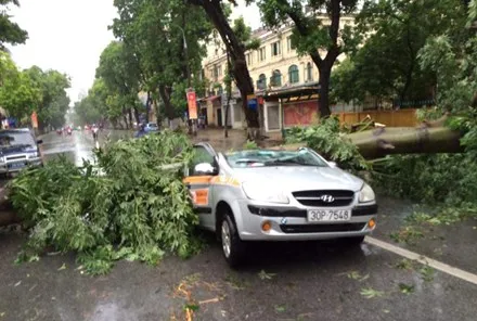 Hà Nội: Một người chết, 5 bị thương do bão số 1 gây ra