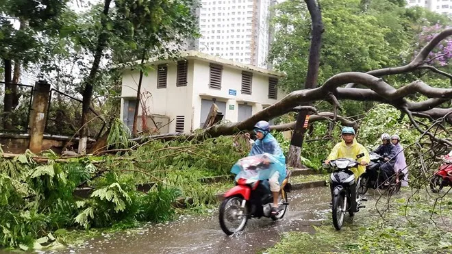 Tin phụ nữ 28/7: Bão số 1 đã làm 3 người chết, 11 người bị thương