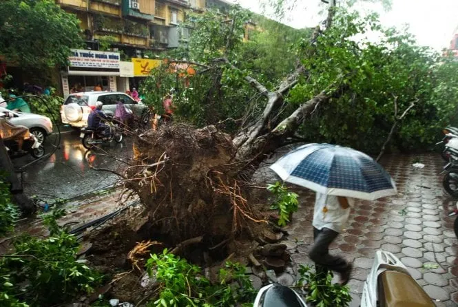 Biện pháp giúp đi ra đường ngày giông bão an toàn