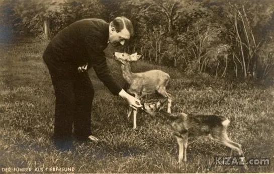 Mô tả ảnh.