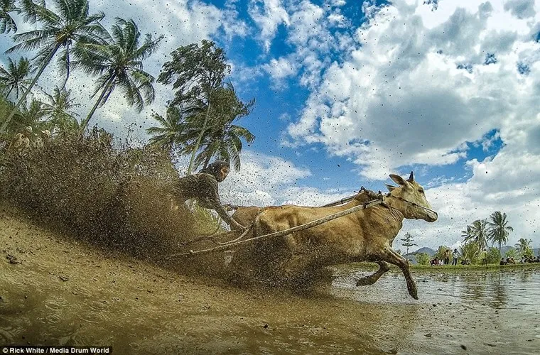 Mô tả ảnh.