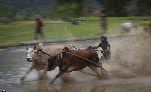 Mô tả ảnh.