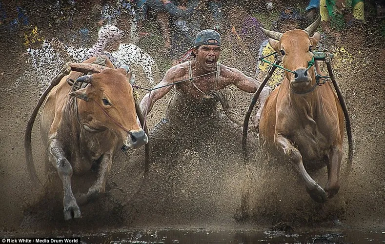 Mô tả ảnh.