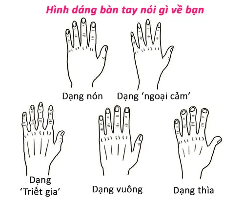 Hình dáng bàn tay nói gì về bạn 1