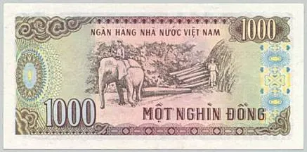 Mô tả ảnh.