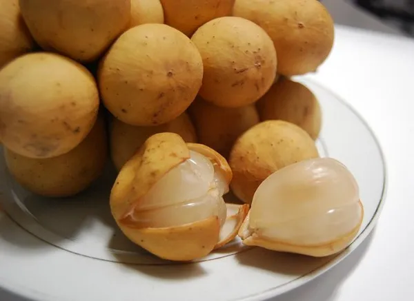 lưu ý khi ăn quả bòn bon