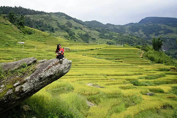 Mô tả ảnh.