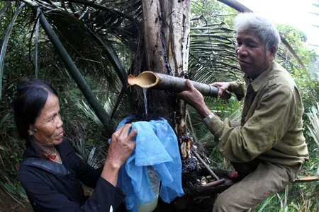 Mô tả ảnh.