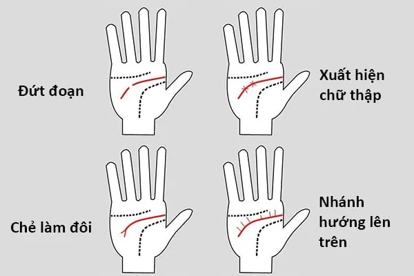 Các dạng đường học vấn thường gặp và ý nghĩa của chúng