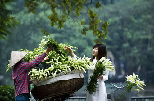 Mô tả ảnh.