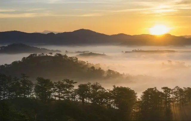 Mô tả ảnh.