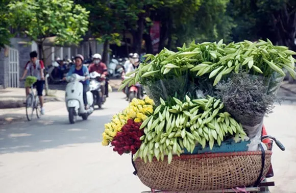 Mô tả ảnh.