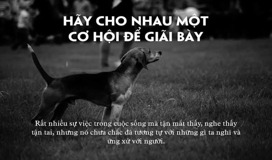 Mô tả ảnh.