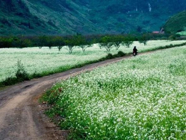 5 điểm du lịch giúp bạn tận hưởng trọn vẹn phong vị mùa đông 3