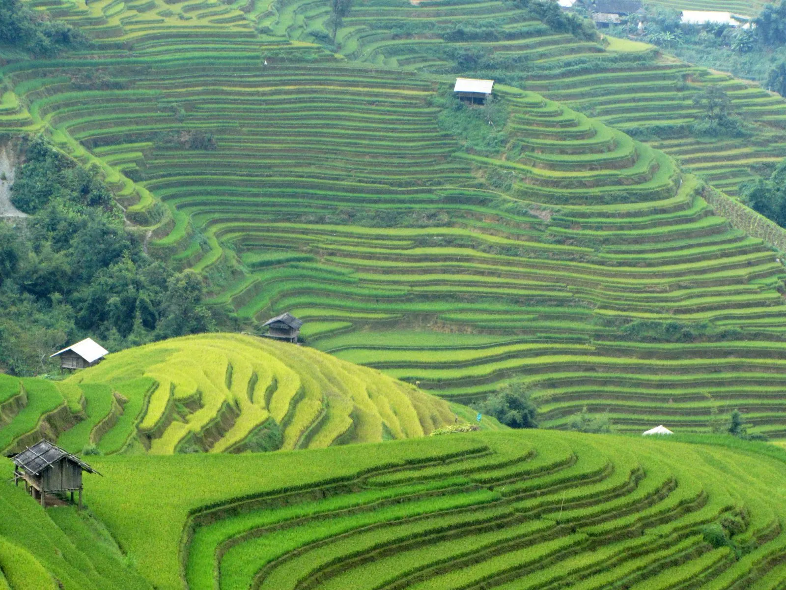 Mô tả ảnh.