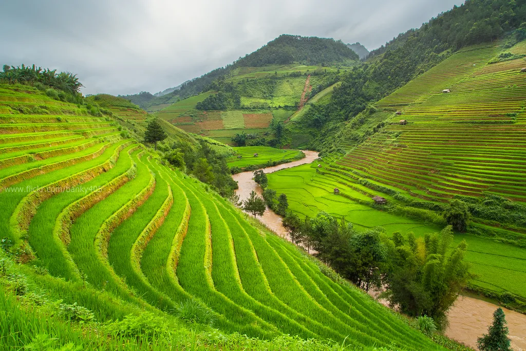 Mô tả ảnh.