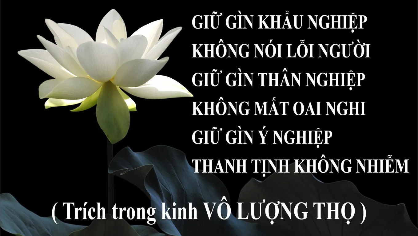 Đức Phật dạy rằng “Tu cái miệng là tu hơn nửa đời người”