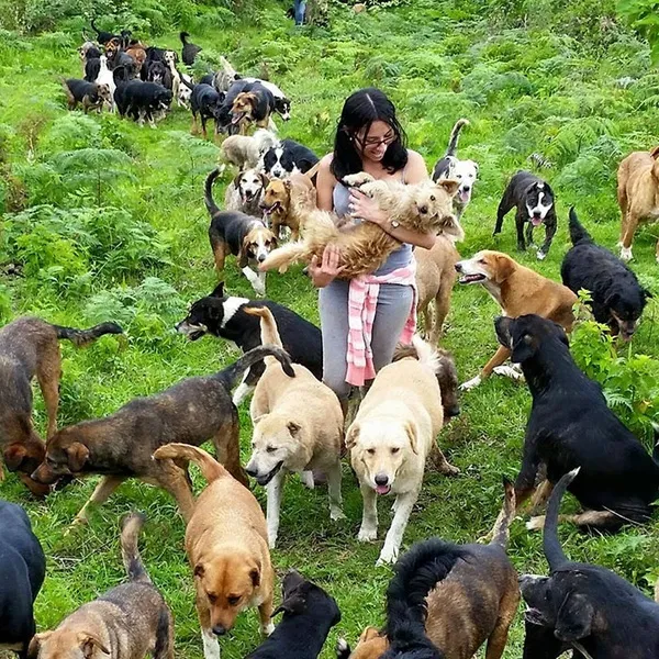 Vương quốc của loài chó – thánh địa mới trên thế giới