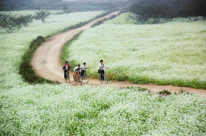 Mô tả ảnh.