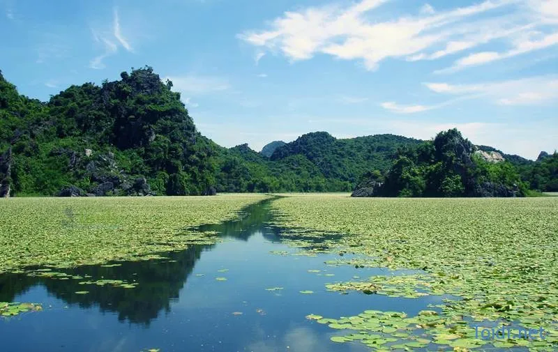 Mô tả ảnh.