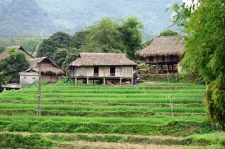 Mô tả ảnh.