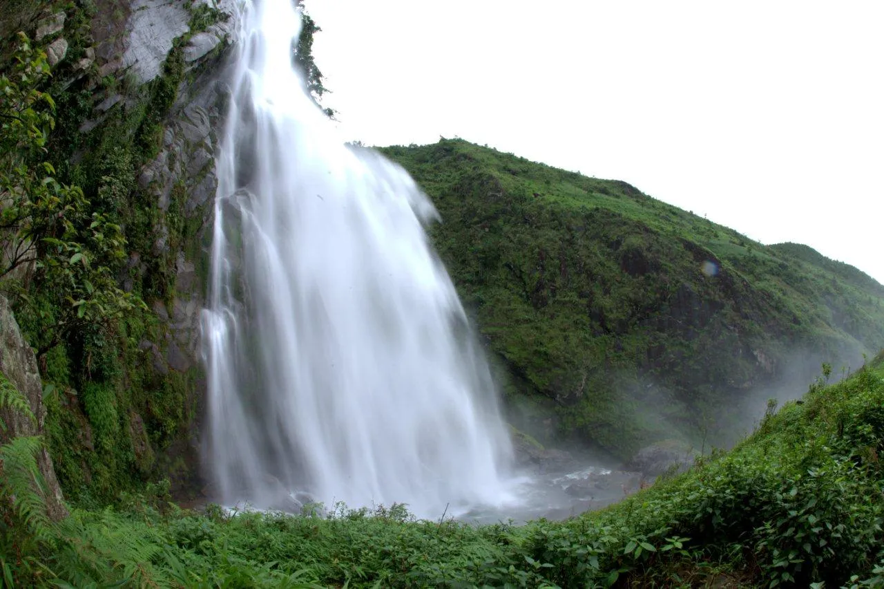 Mô tả ảnh.