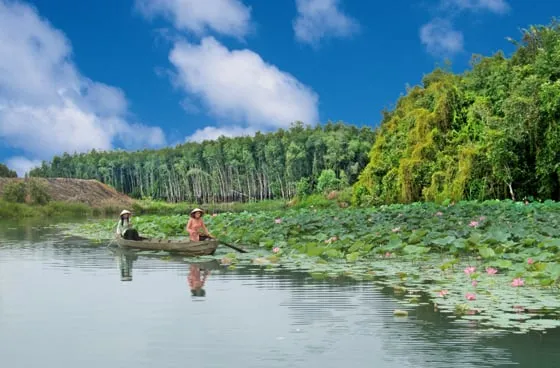 Mô tả ảnh.