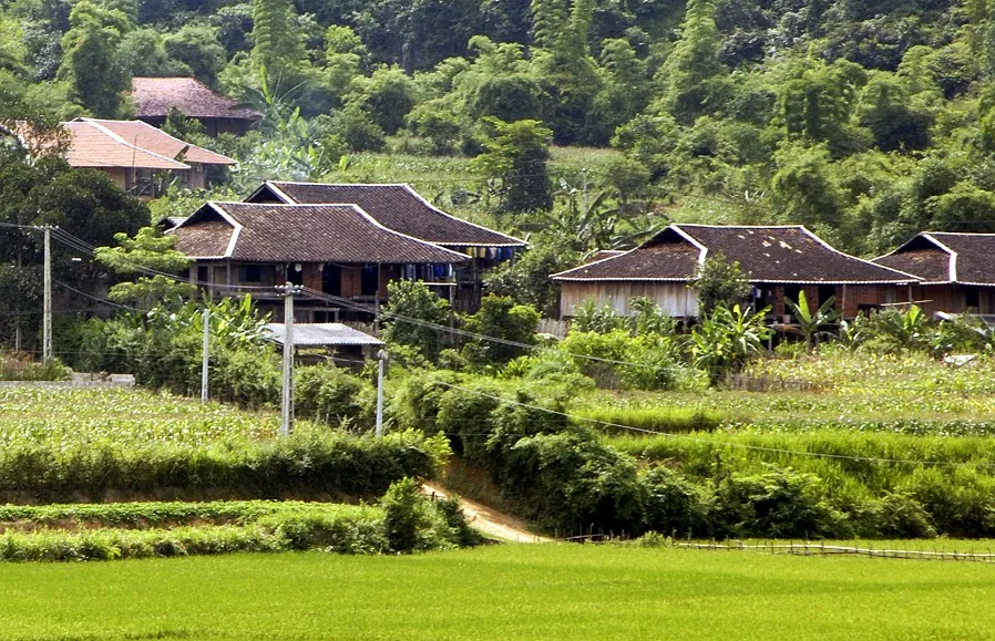 Mô tả ảnh.