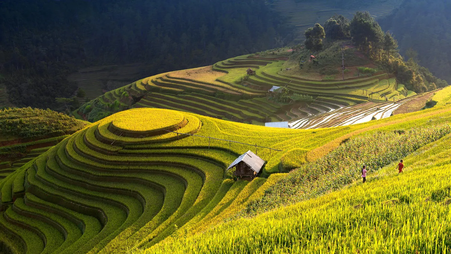 Mô tả ảnh.