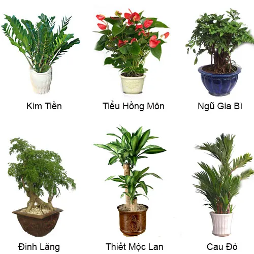 Hốt bạc ầm ầm trong tháng 6 với 6 tuyệt chiêu phong thủy