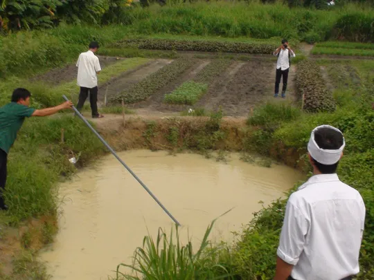 Mô tả ảnh.