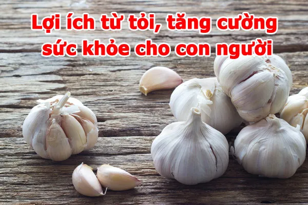 lợi ích từ tỏi