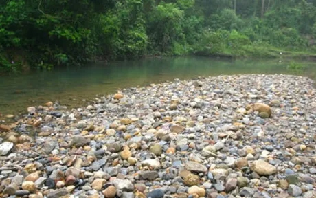 Mô tả ảnh.