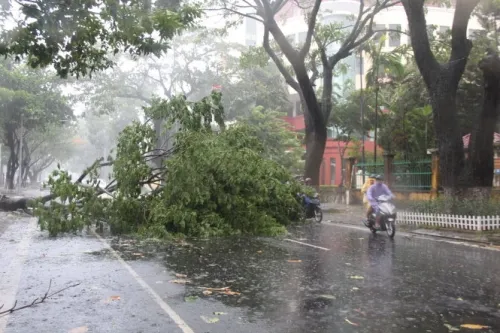 Mô tả ảnh.