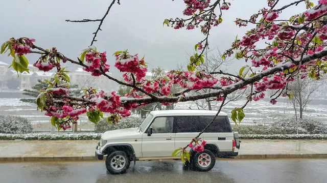 Mô tả ảnh.