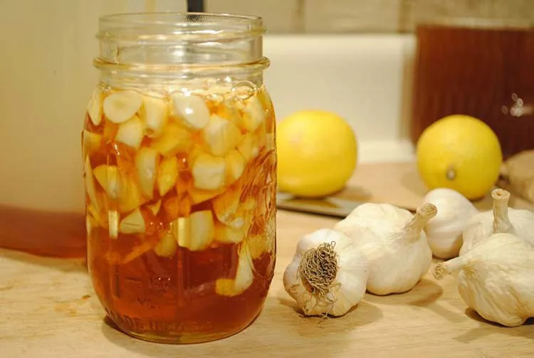rượu tỏi 
