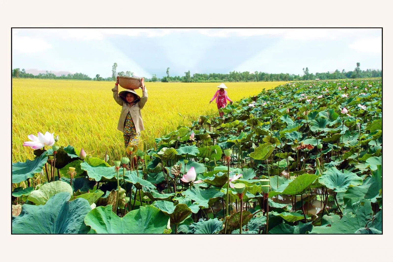 Những điểm đến không nên bỏ lỡ tại Việt Nam trong tháng 3