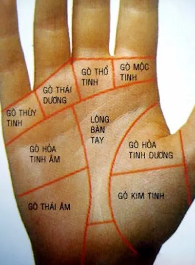 Bộc lộ tình duyên và tài lộc của bạn qua đường chỉ tay