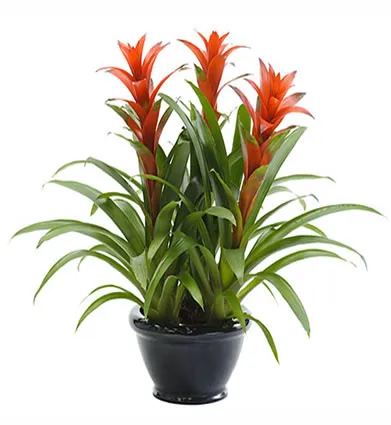 Phong thủy giữ “tài lộc” cho gian bếp nhà bạn