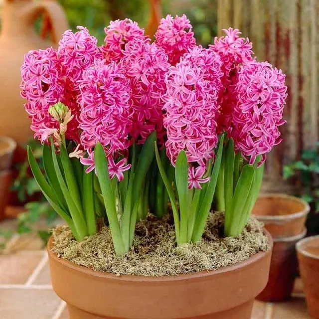 Phong thủy giữ “tài lộc” cho gian bếp nhà bạn