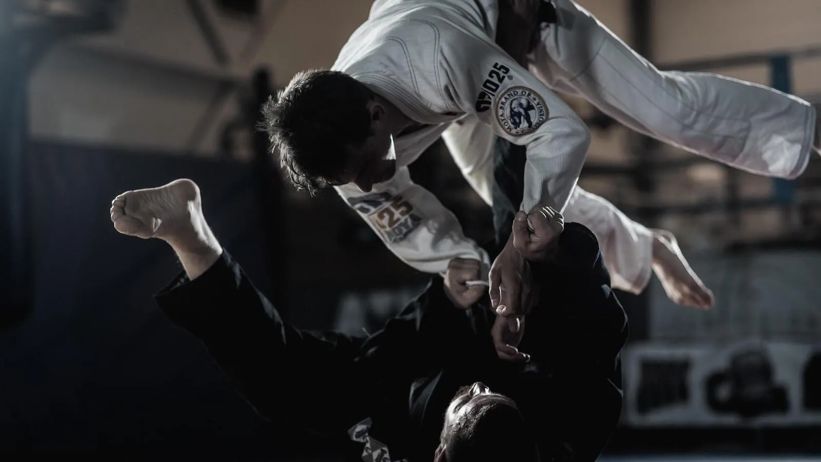 Káº¿t quáº£ hÃ¬nh áº£nh cho jiu jitsu wallpaper